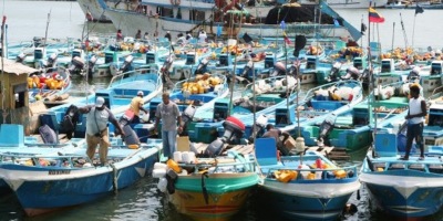 Flota pesquera artesanal anclada en la rada de un puerto ecuatoriano.