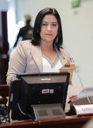 Karina Arteaga, en pleno de AN